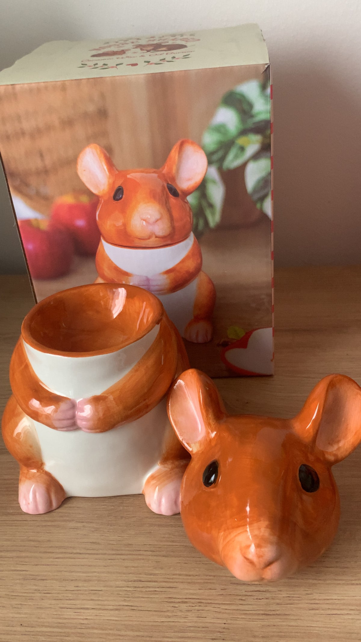 Souris