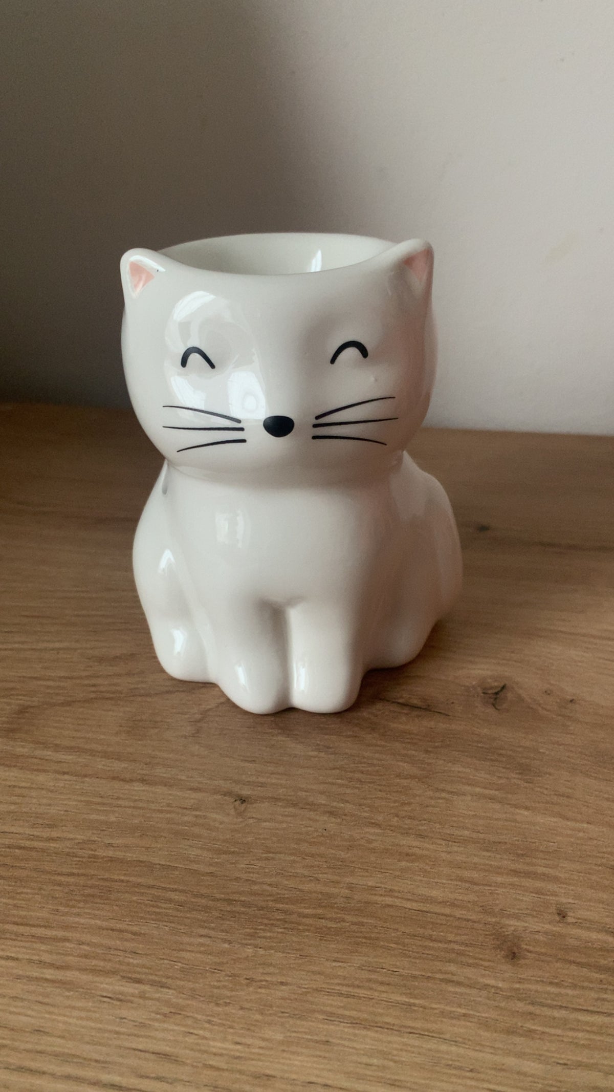 Chat blanc