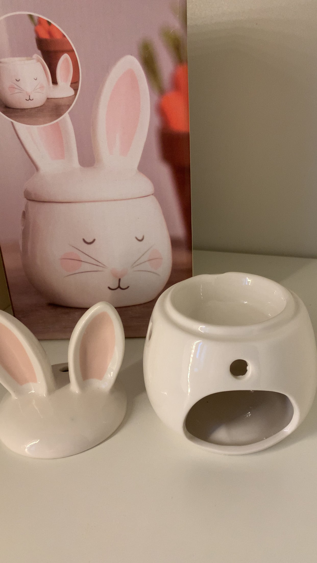 Tête de lapin