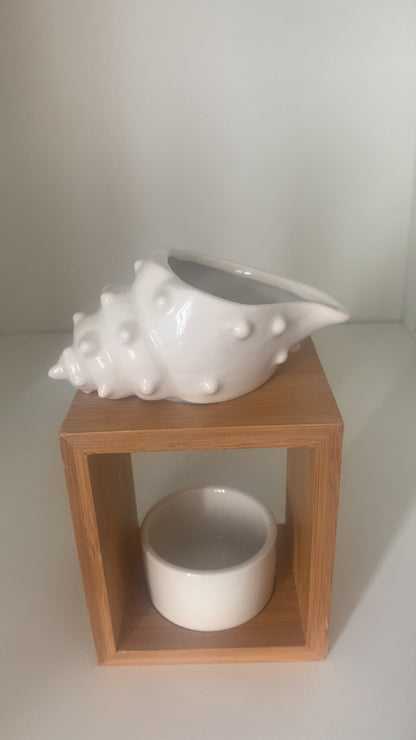 coquillage