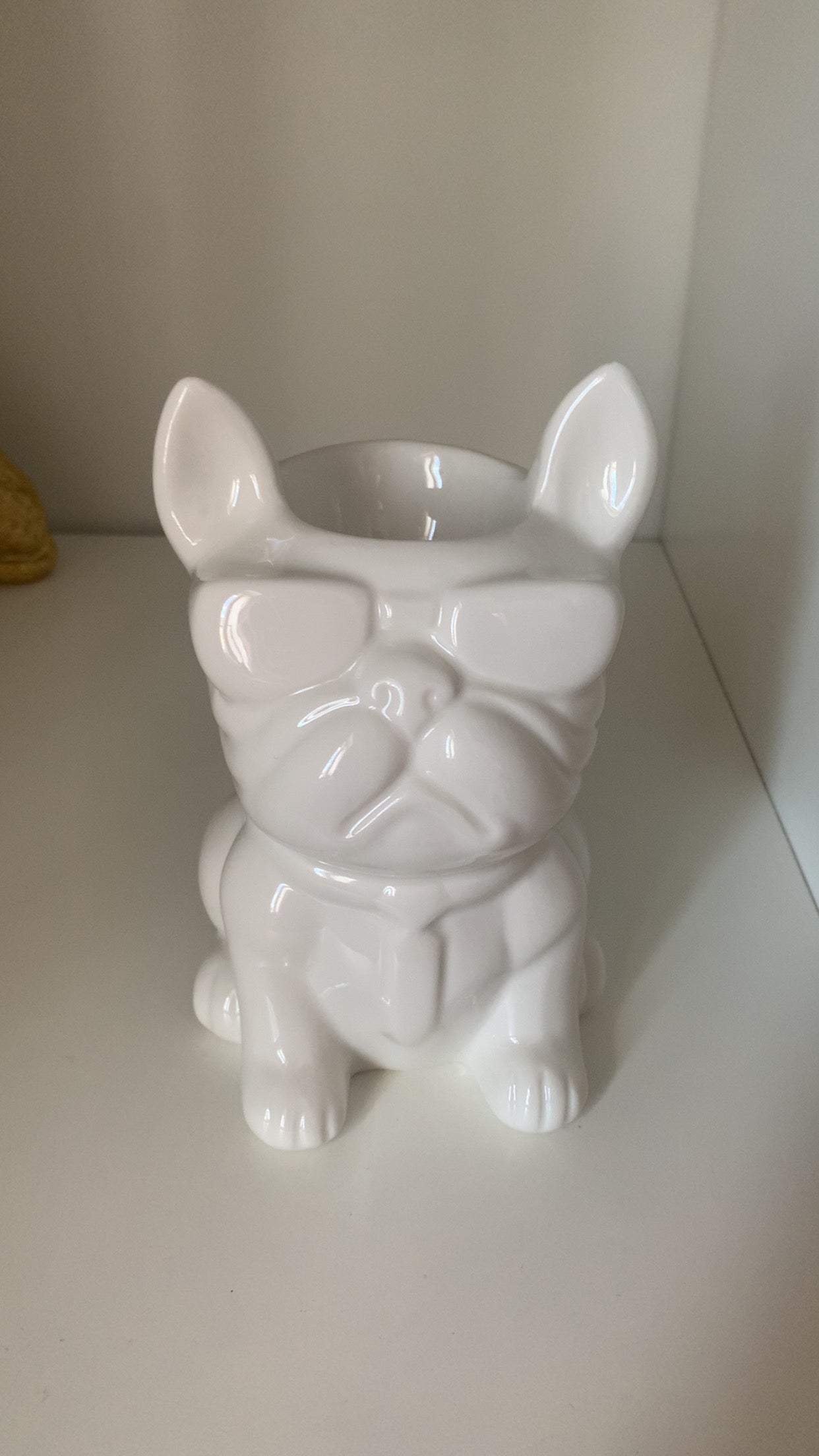 Bouledogue